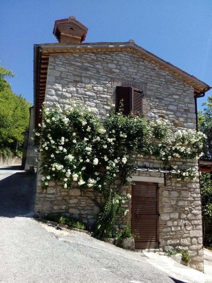 Bed & Breakfast Sentiero 54 Cantiano Exterior foto